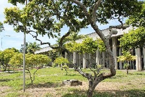 Ampliação de horário e de serviços da Biblioteca Central UNIVERSIDADE