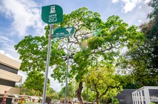 Ação será no Centro de Ciências Jurídicas, em João Pessoa. Foto: Angélica Gouveia