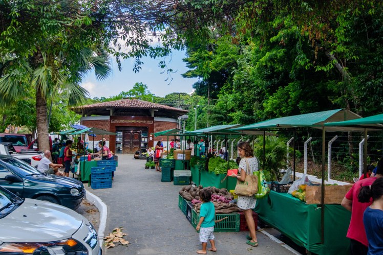 Feira Agroecológica